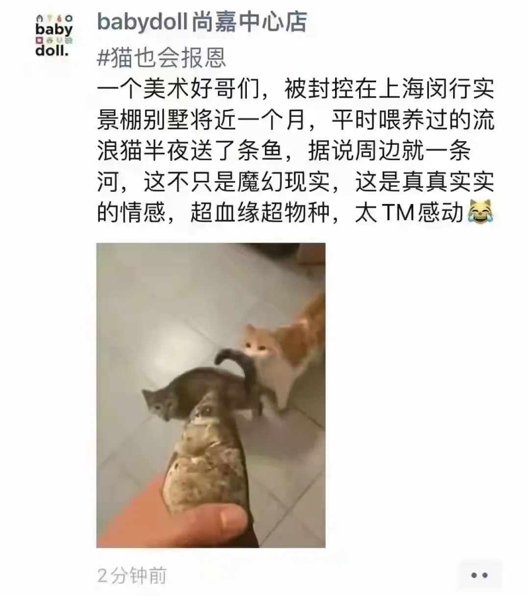 从搞笑到反思，上海疫情段子变迁史