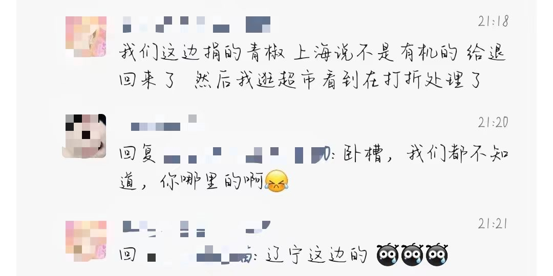 上海的第六波精彩来了