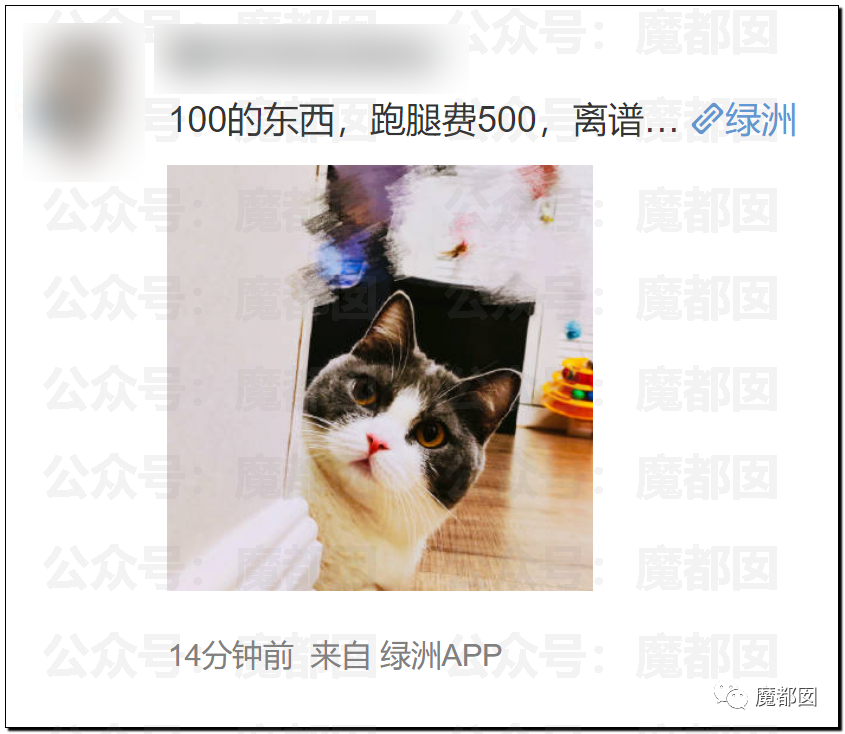 比贩毒更赚钱！跑腿和定价愈发疯狂！发国难财不怕遭报应吗？