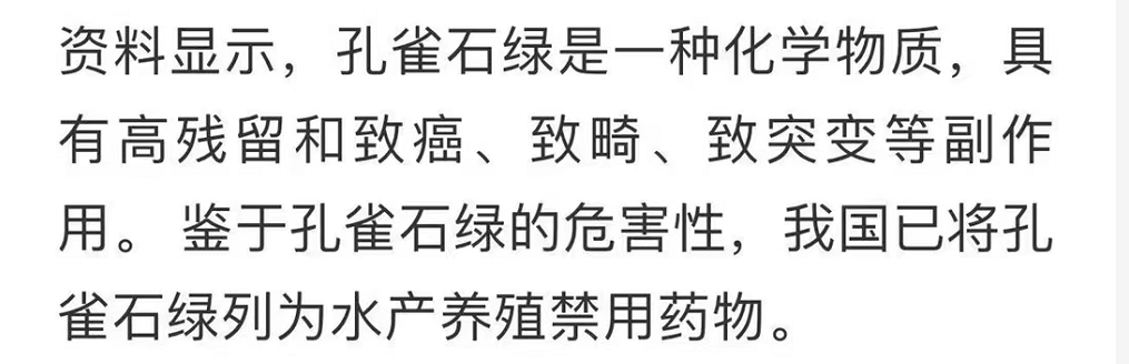上海的第六波精彩来了