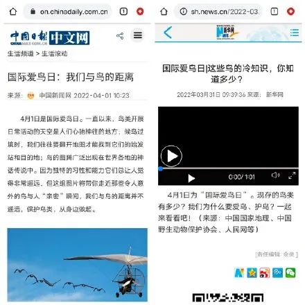 上海六院的“丁丁保卫战”推文，被骂不冤