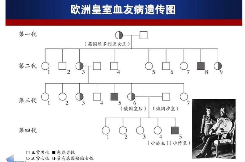 只要高考制度还在，上海就一定能回来